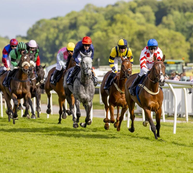 Several horses racing down the turf track at Uttoxeter