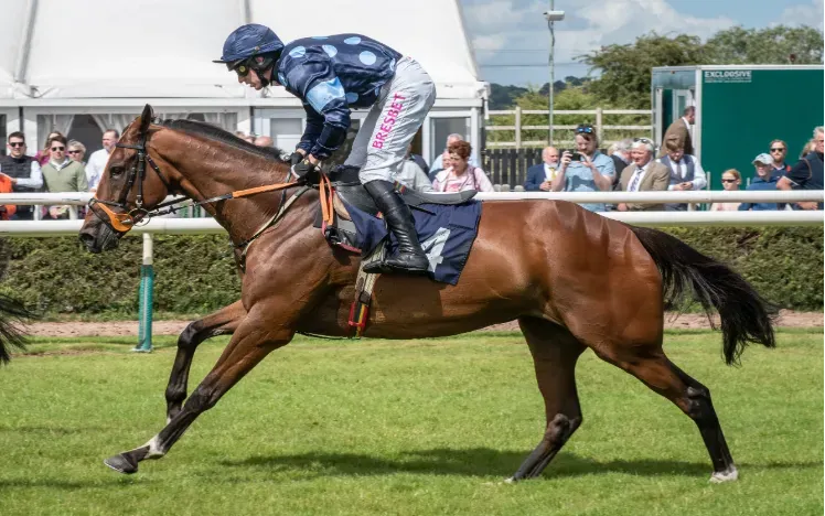 A horse and jockey racing down the track at Uttoxeter